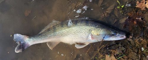 IMG-20260407-WA0002 -1.jpg